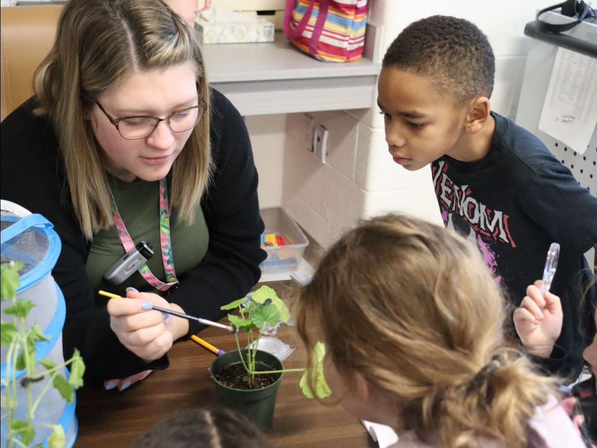 Teacher and students looking at plant with caterpillar.